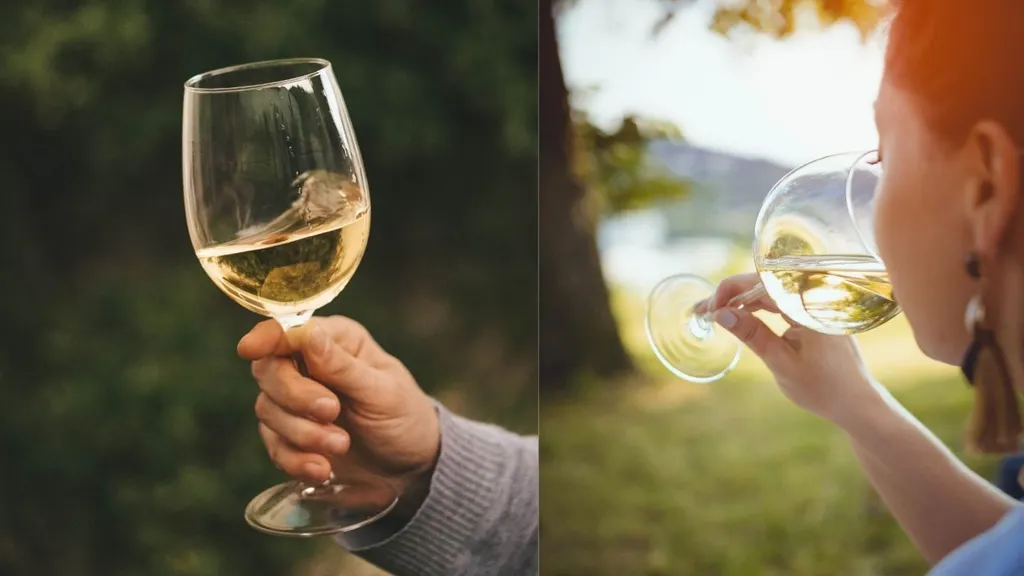 What You Need to Know About White Wine